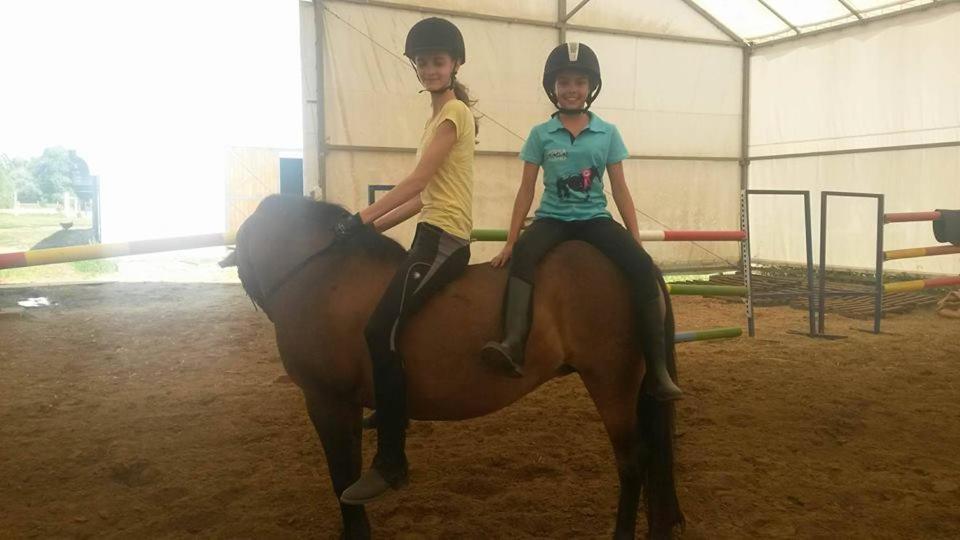 Caballus Lovasmajor Panzio Frühstückspension Nyíregyháza