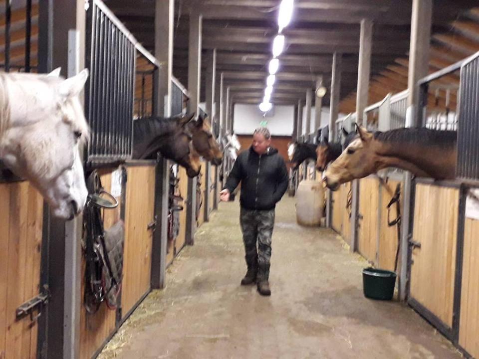 Frühstückspension Caballus Lovasmajor Panzio Nyíregyháza