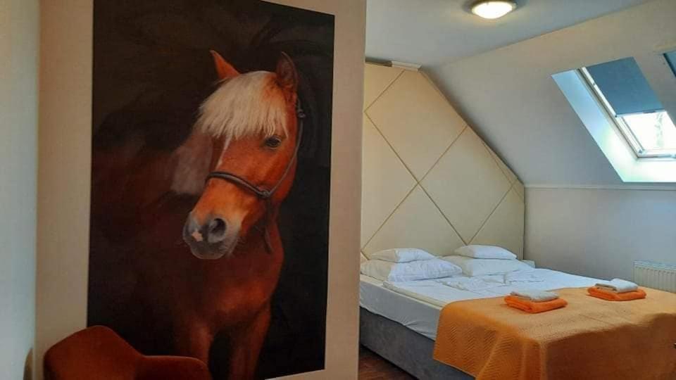 Caballus Lovasmajor Panzio *