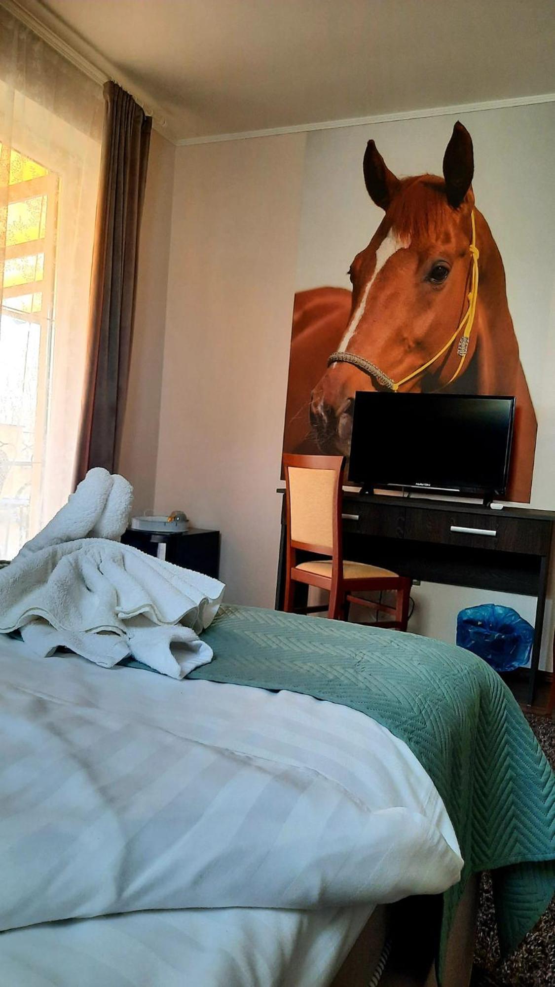 Caballus Lovasmajor Panzio Nyíregyháza