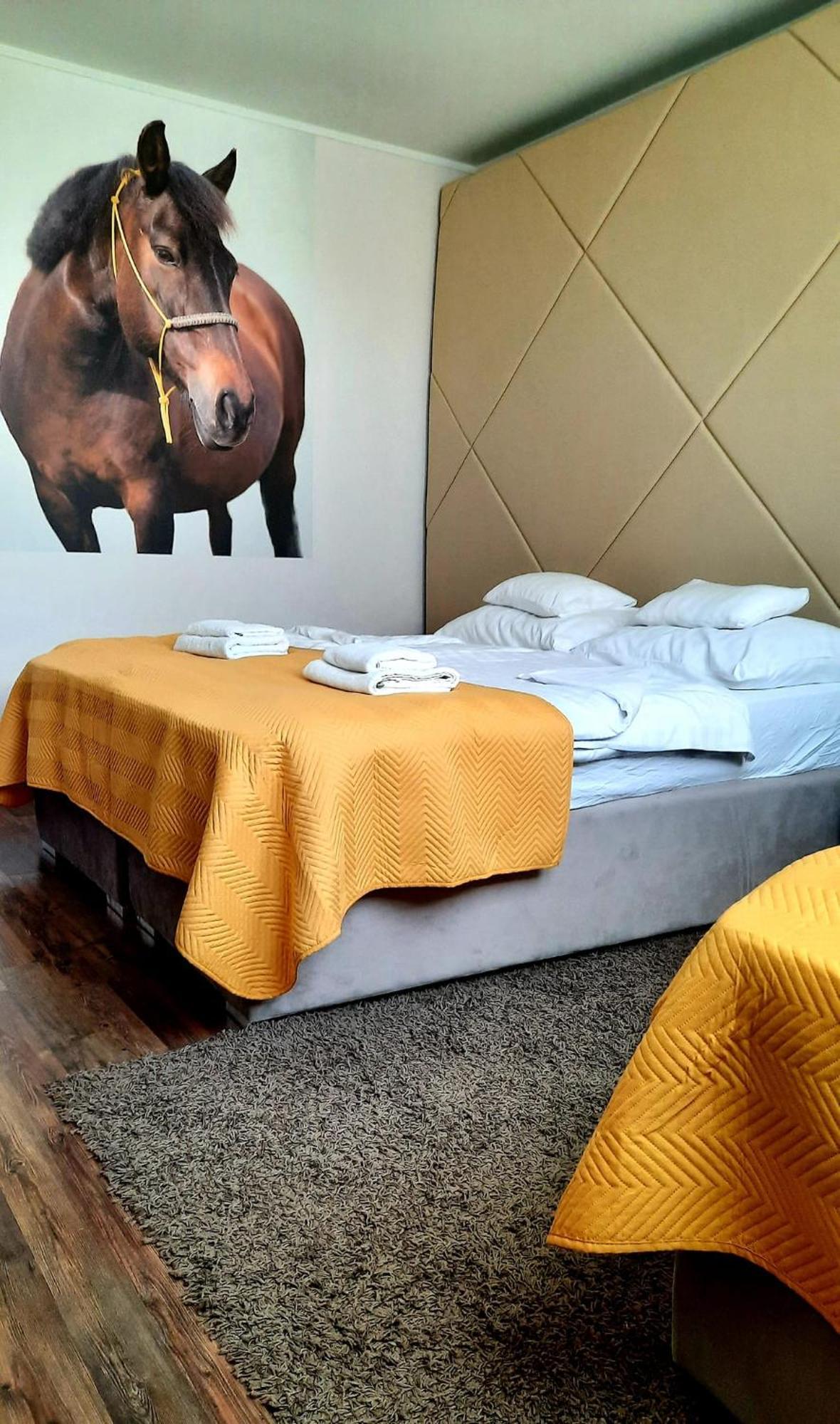Bed and breakfast Caballus Lovasmajor Panzio *