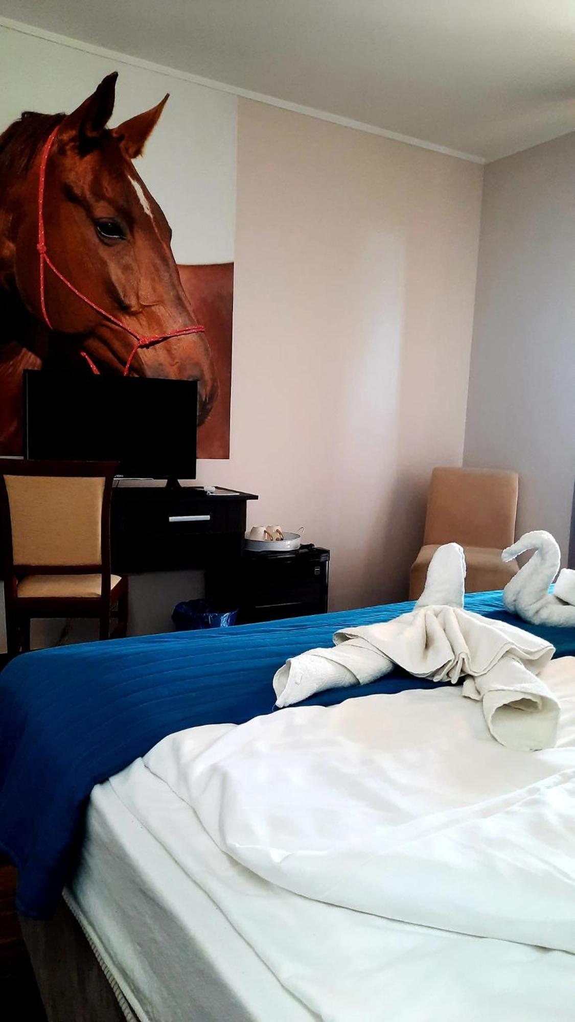 Caballus Lovasmajor Panzio Bed & Breakfast